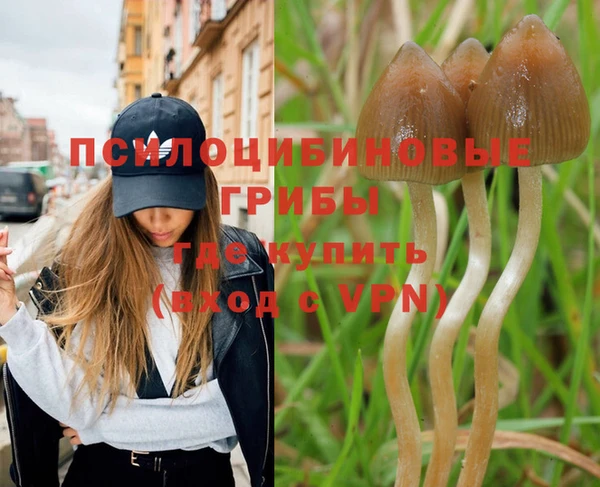 spice Абаза